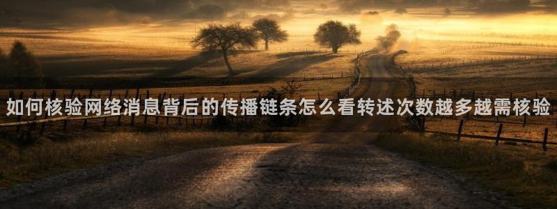 51吃瓜黑料:如何核验网络消息背后的传播链条怎么看转述次数越多越需核验