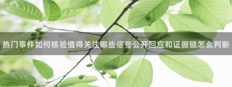 吃瓜网官网:热门事件如何核验值得关注哪些信号公开回应和证据链怎么判断