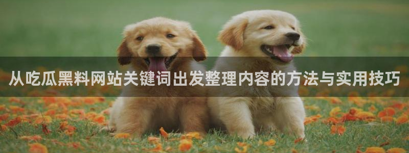 吃瓜爆料:从吃瓜黑料网站关键词出发整理内容的方法与实用技巧