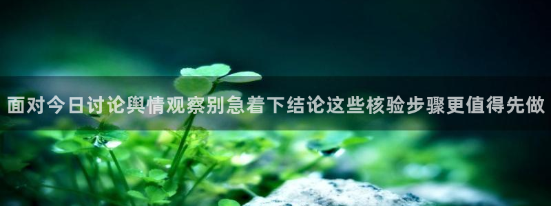 黑料吃瓜网站:面对今日讨论舆情观察别急着下结论这些核验步骤更值得先做